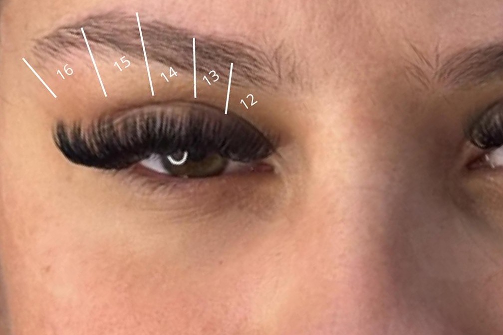 Een oog met een volume set wimpers, met de lash map 12 tot en met 16 op de wenkbrauw getekend